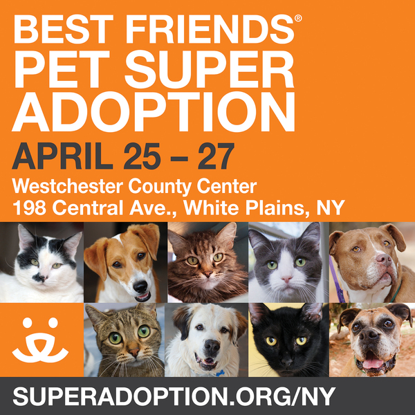 FINAL_2014 Pet Super Adoption_facebook_2048x2048.jpg