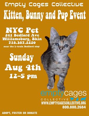 NYC Pet Empty Cages Adoption