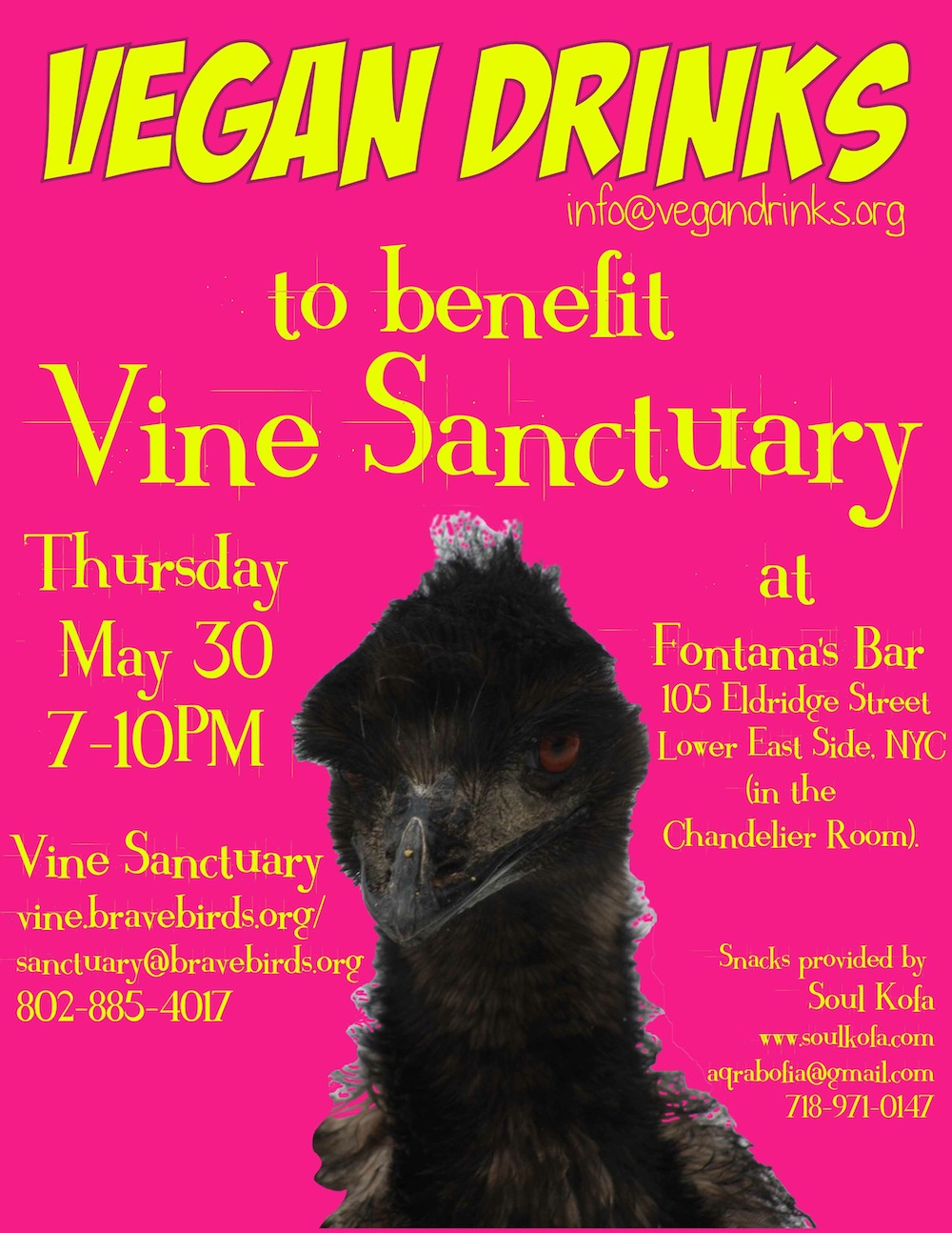 ecc vine vegan drinks flyer.jpg